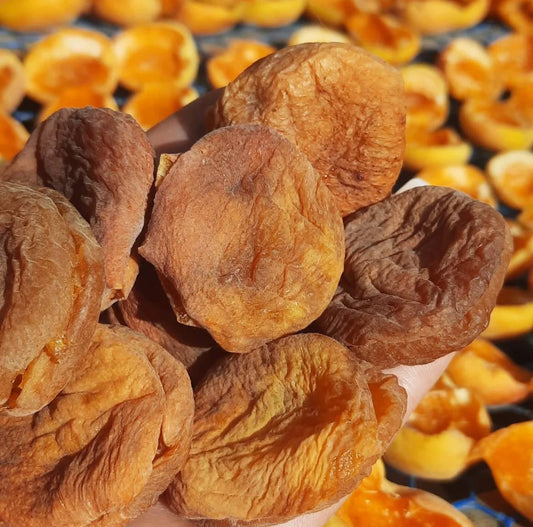Dried Apricot